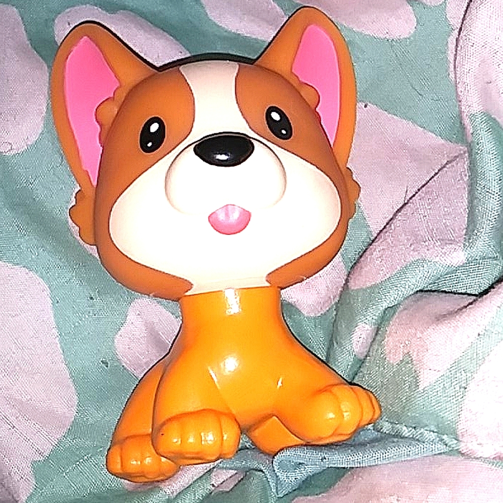 A dog toy